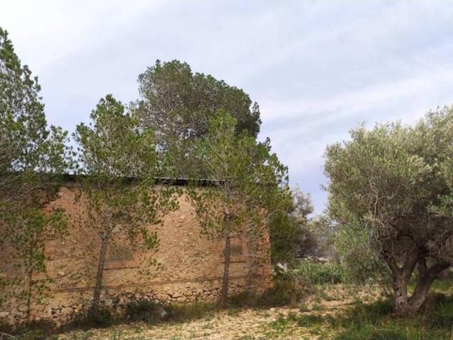 Terreno en Venta en Xerta