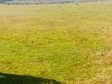 Terreno en venta en Xhoñe, Chapa de Mota, Estado De México