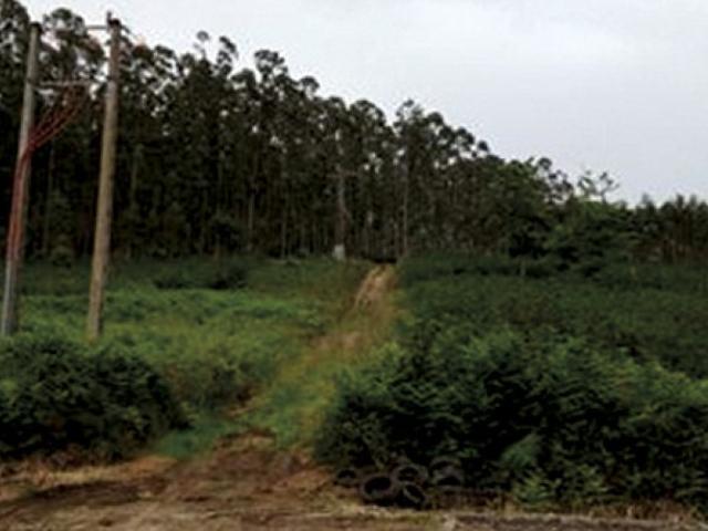 Terreno en venta en Xove