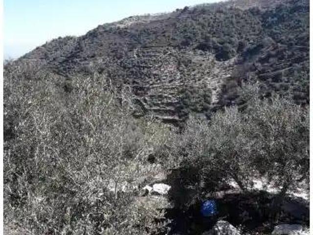 Terreno en Venta en Yunquera
