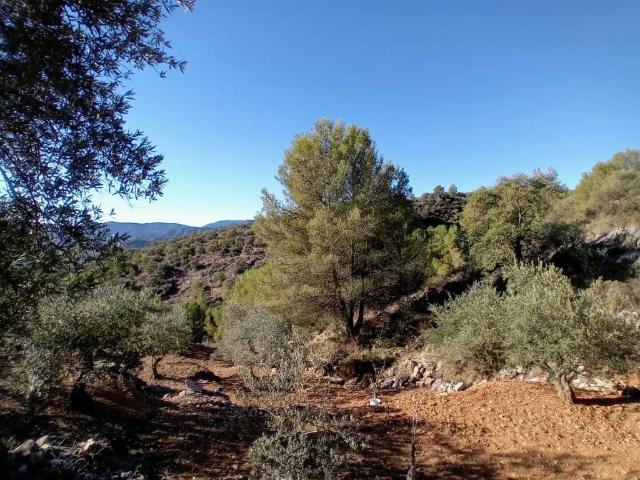 Terreno en Venta en Yunquera