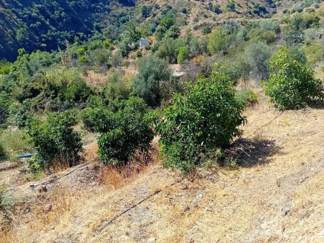 Terreno en Venta en Yunquera