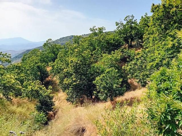 Terreno en Venta en Yunquera