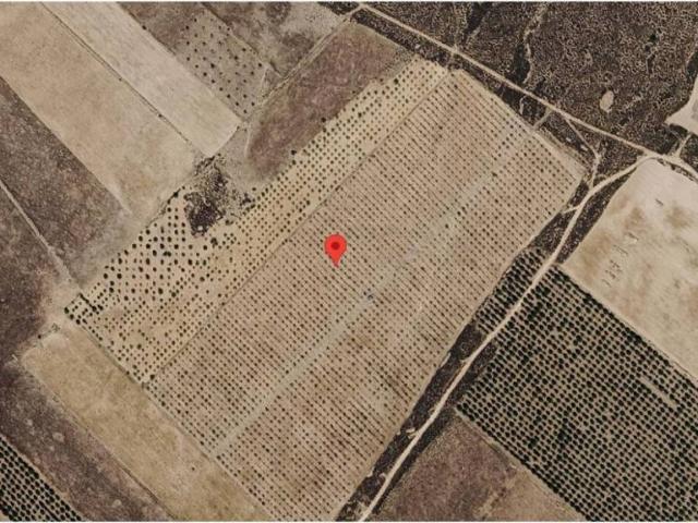 Terreno en Venta en Yecla