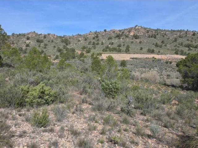 Terreno en Venta en Yecla