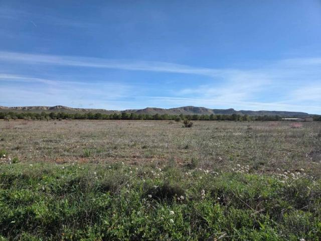 Terreno en Venta en Yecla