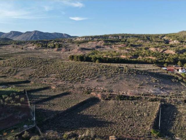 Terreno en Venta en Yecla