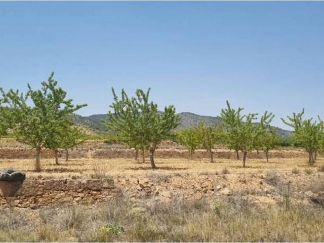 Terreno en Venta en Yecla