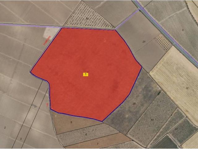 Terreno en Venta en Yecla