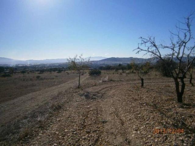 Terreno en Venta en Yecla