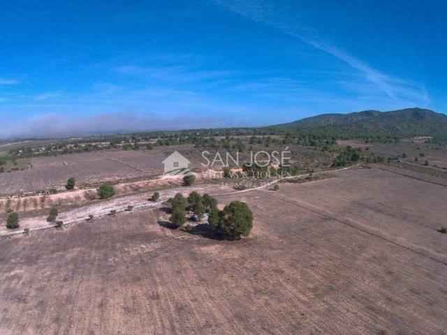 Terreno en Venta en Yecla