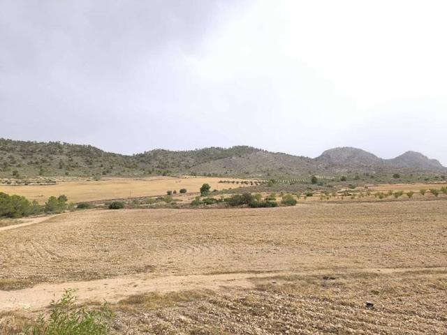 Terreno en Venta en Yecla