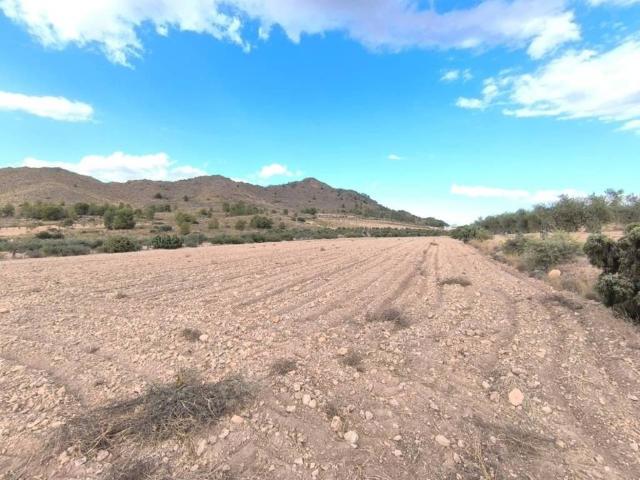 Terreno en Venta en Yecla