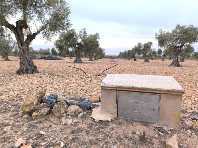 Terreno en Venta en Yecla