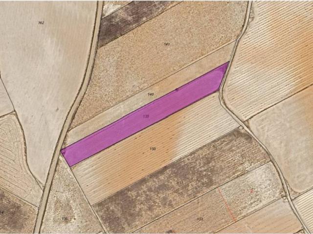 Terreno en Venta en Yecla