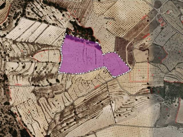 Terreno en Venta en Yecla