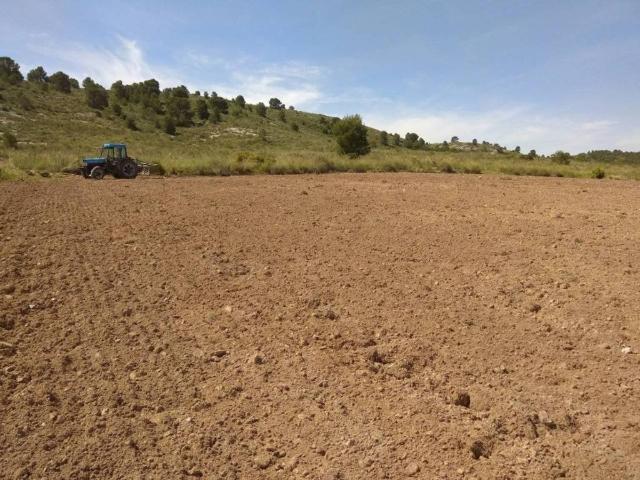 Terreno en Venta en Yecla