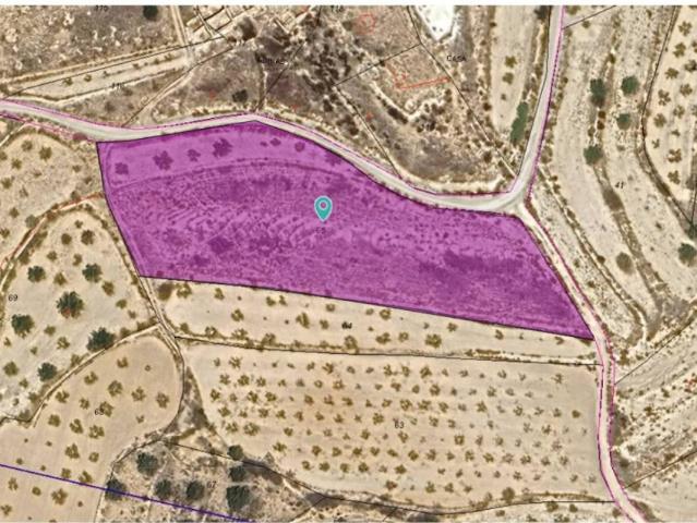 Terreno en Venta en Yecla de Yeltes