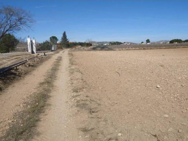 Terreno en Venta en Yecla