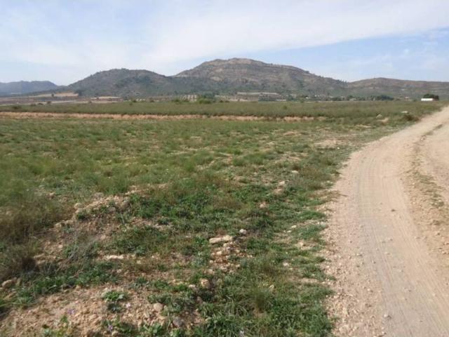 Terreno en Venta en Yecla