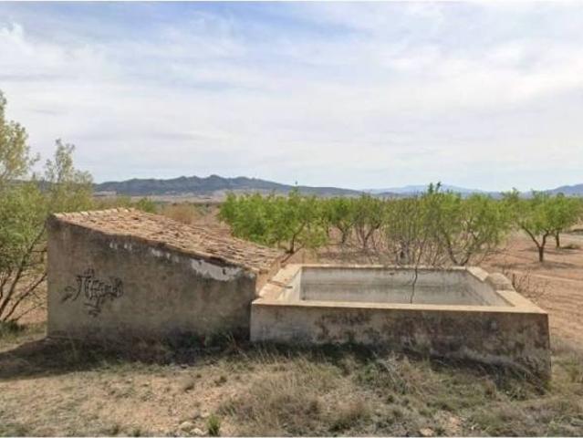 Terreno en Venta en Yecla