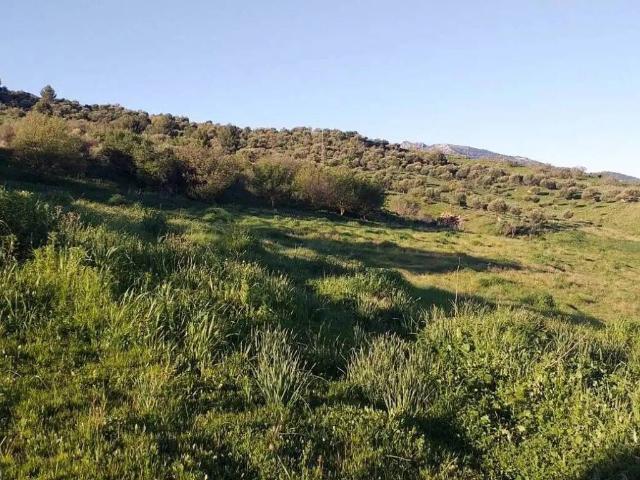 Terreno en Venta en Zahara de la Sierra
