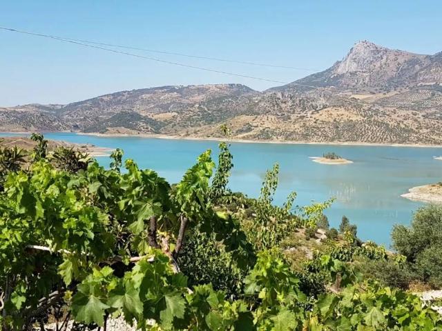 Terreno en Venta en Zahara de la Sierra
