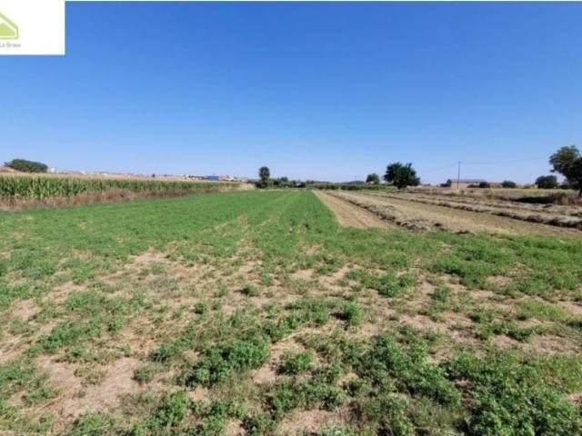 Terreno en Venta en Zamora