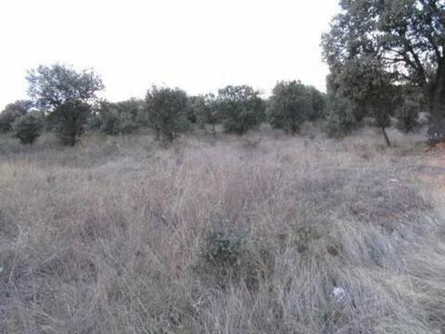 Terreno en Venta en Zamora