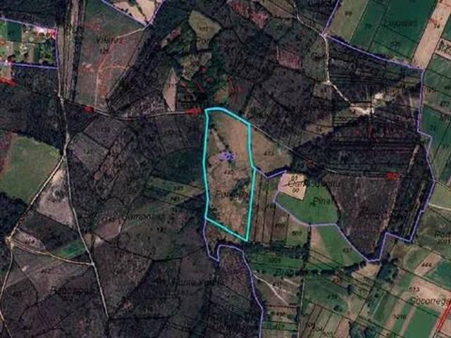 Terreno en Venta en Zas