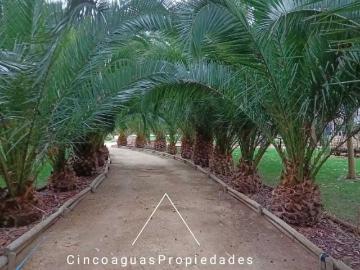 Terreno en Venta en Zapallar