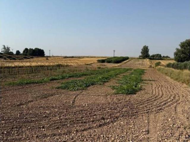 Terreno en Venta en Zaragoza