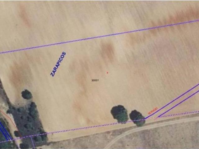 Terreno en Venta en Zarapicos