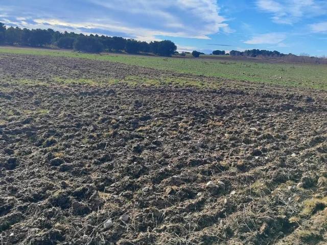 Terreno en Venta en Zarzuela del Pinar
