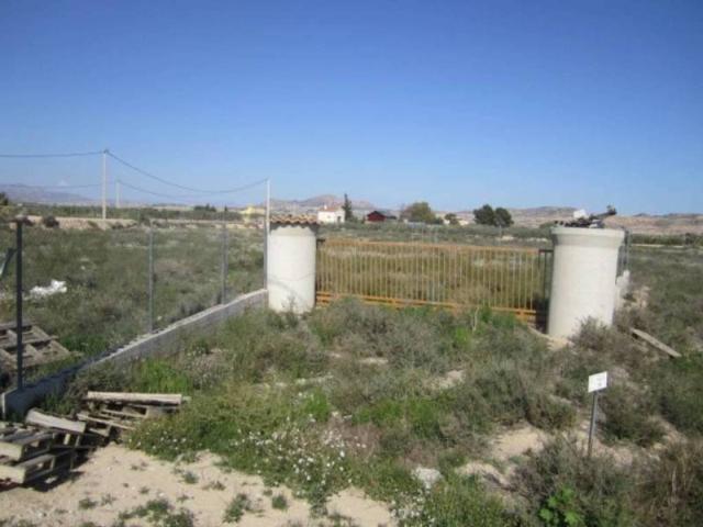 Terreno en Venta en Zarza La Mayor