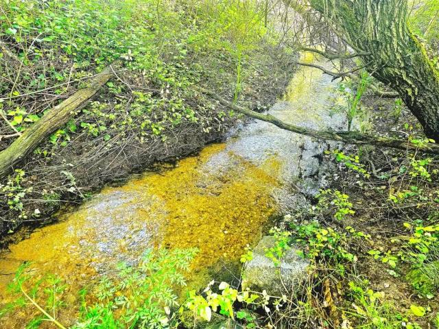 Terreno en Venta en Zarzalejo