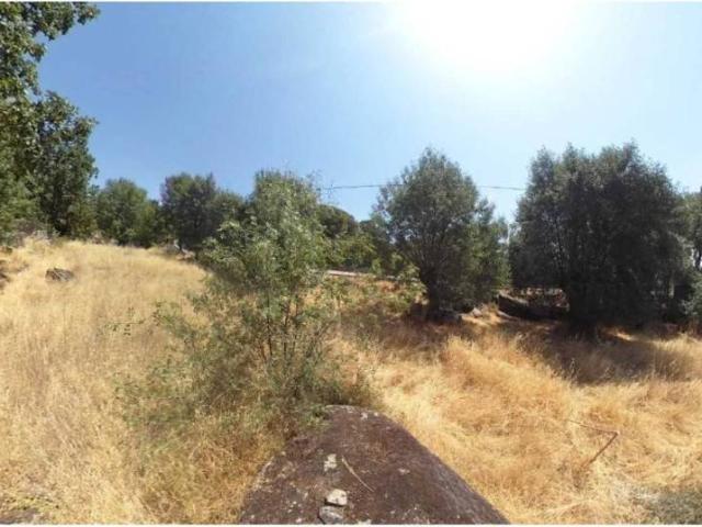 Terreno en Venta en Zarzalejo