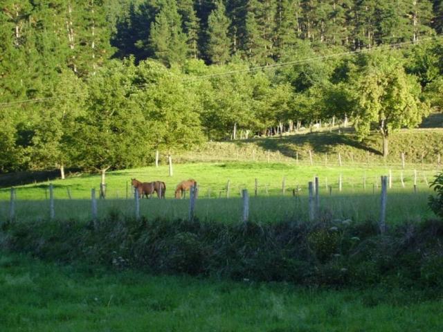 Terreno en Venta en Zeanuri
