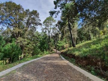 Terreno en Venta Enamorate de residencial el tigre y se parte de una comunidad exclusiva