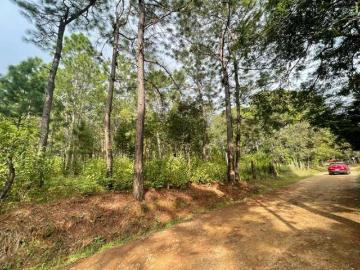 TERRENO EN VENTA ENTEOPISCA, CHIAPAS