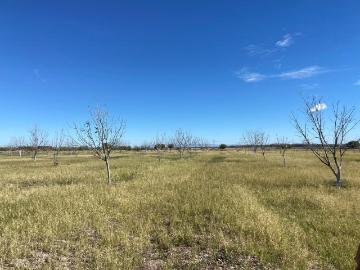 Terreno en Venta es Concordia, Coahuila