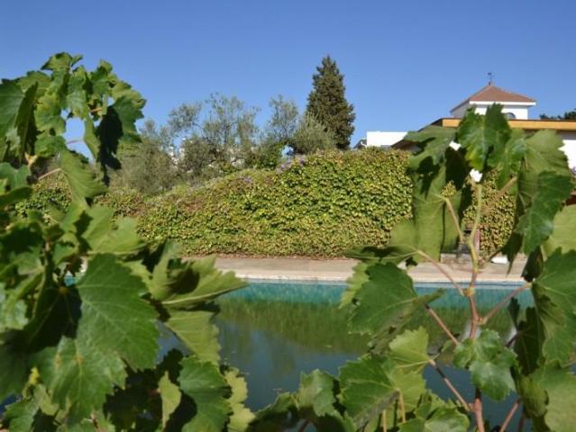 Terreno en venta Espartinas