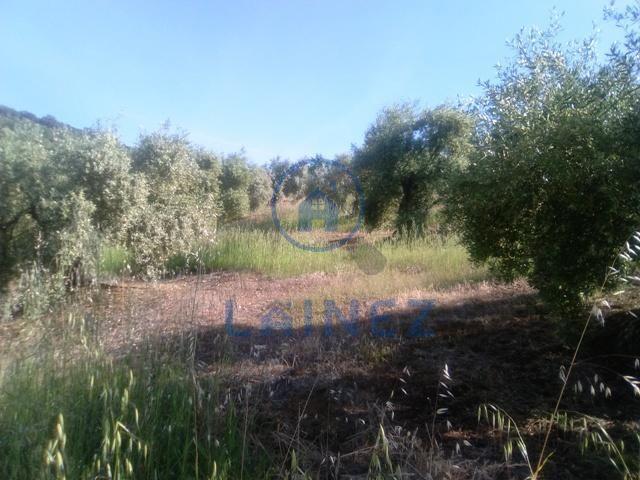 Terreno en venta Espiel