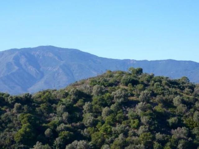 Terreno en venta Estepona