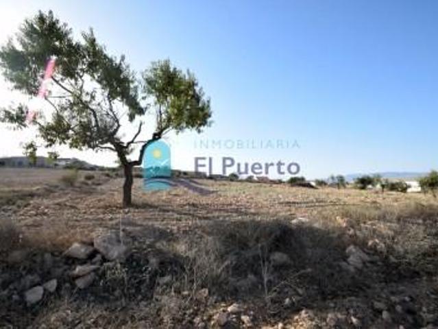 Terreno en venta Fuente Álamo de Murcia