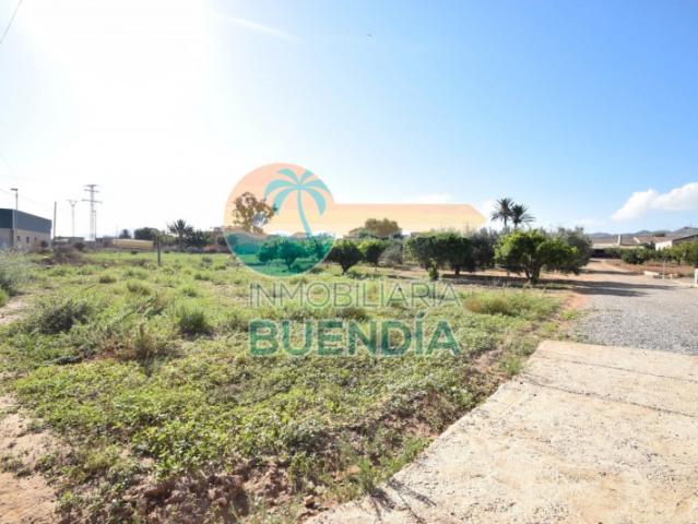 Terreno en venta Fuente Álamo de Murcia