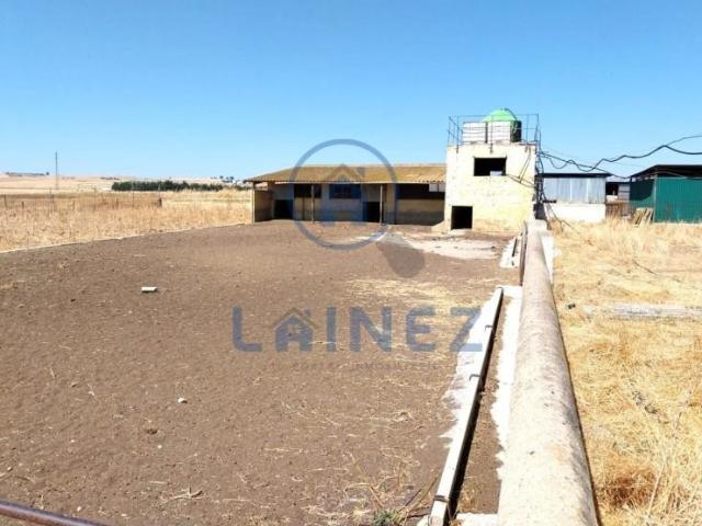 Terreno en venta Fuente Obejuna
