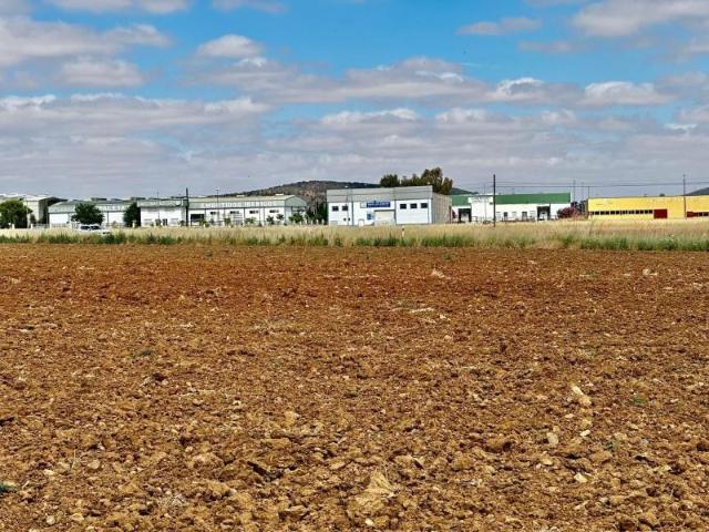 Terreno en venta Fuente Obejuna