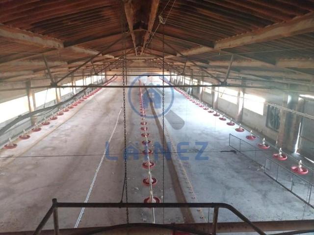 Terreno en venta Fuente Obejuna