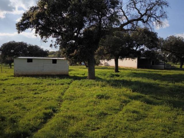 Terreno en venta Fuente Obejuna